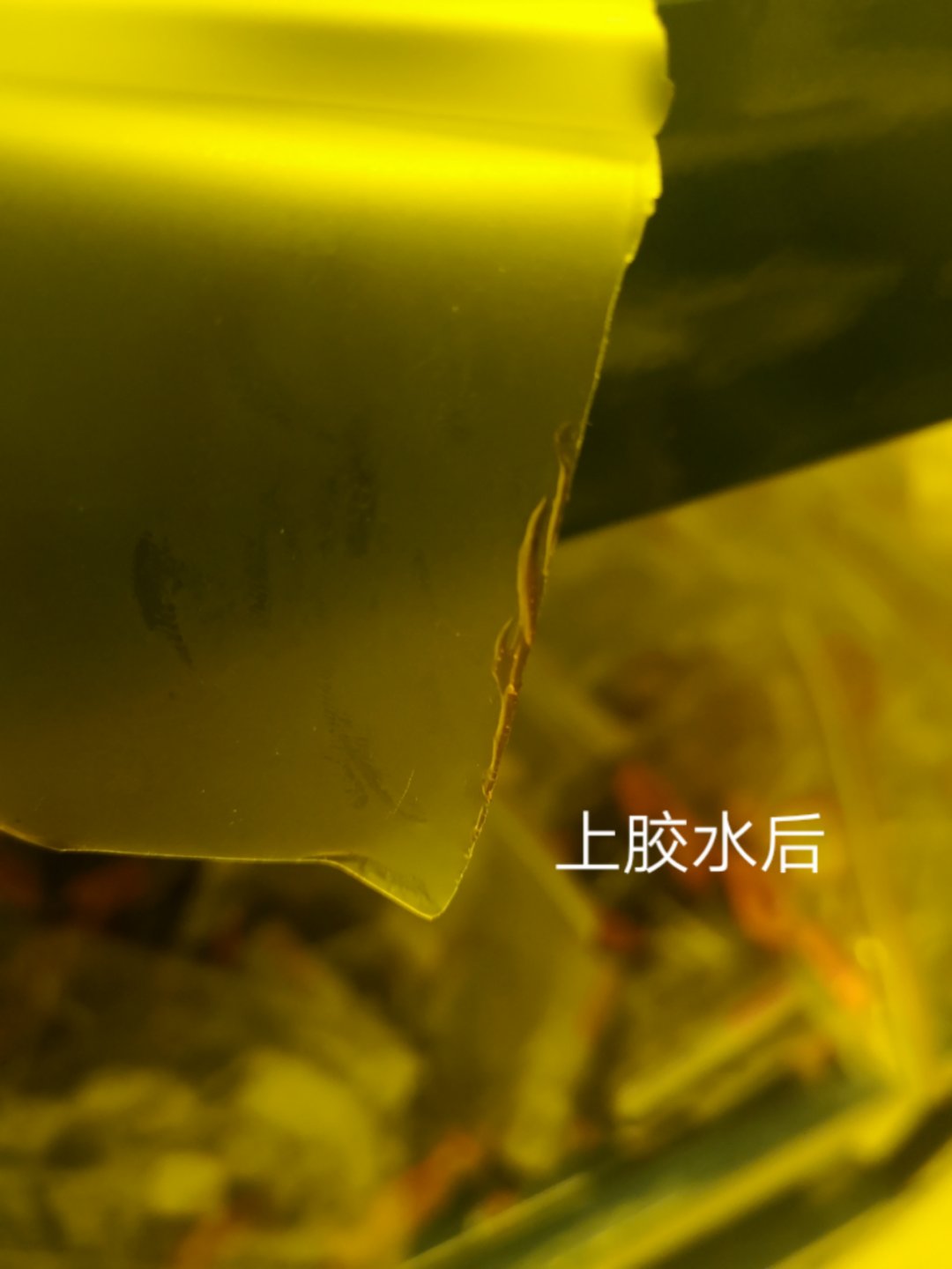 TPEE膜片上UV胶水前