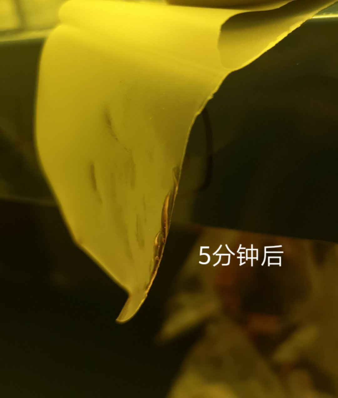 TPEE膜片上UV胶水5分钟后