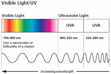 visiblelightuvdiagram.jpg