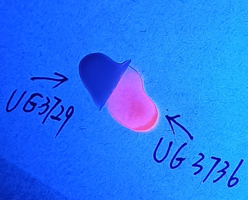 1583844582156410.jpg